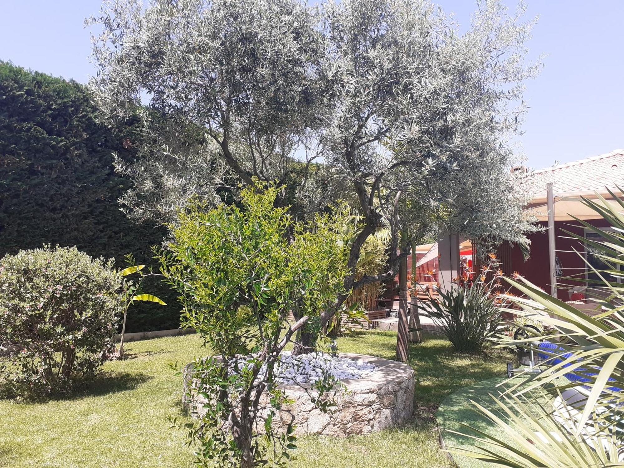 פיוריאני Chambre D'Hotes Casa Lucia מראה חיצוני תמונה